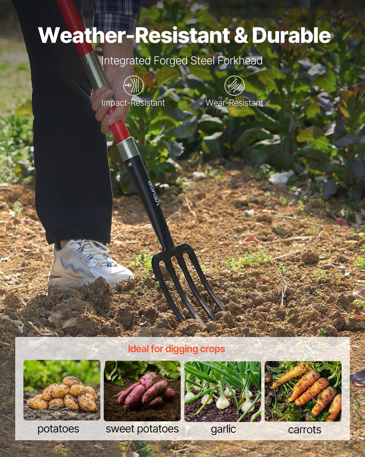 Durable 4-Tine Pitchfork for Digging & Spading Easily