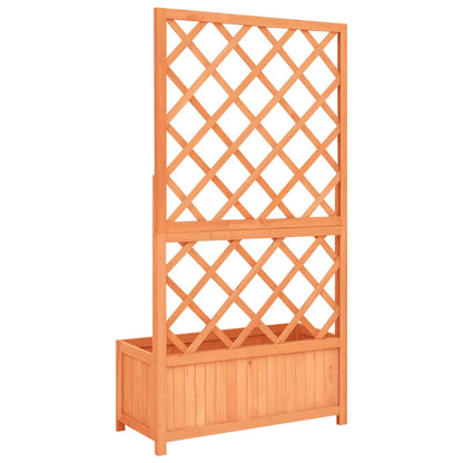 Outdoor Wooden Garden Trellis Planter for Climbing Plants