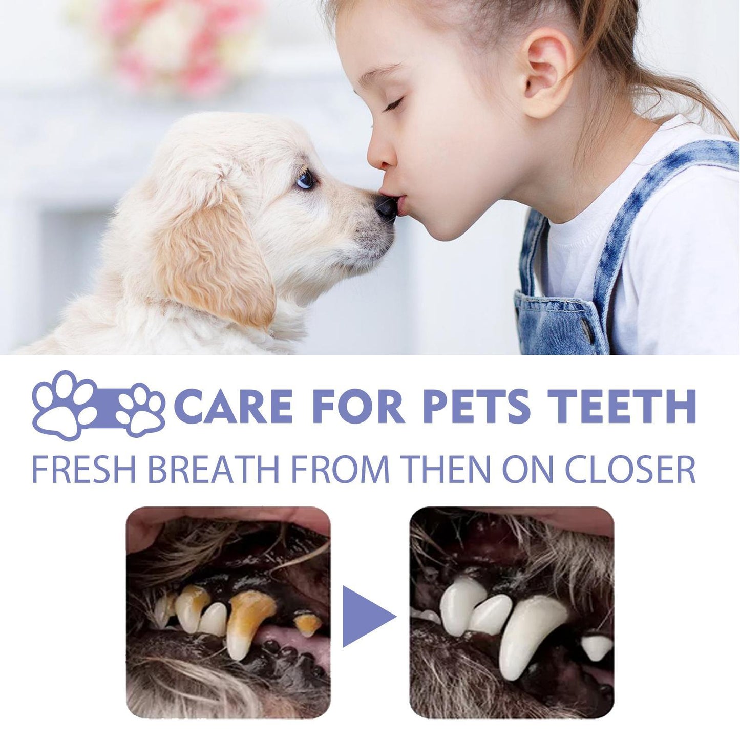 Dog and Cat Oral Care Spray Fresh Breath Solution