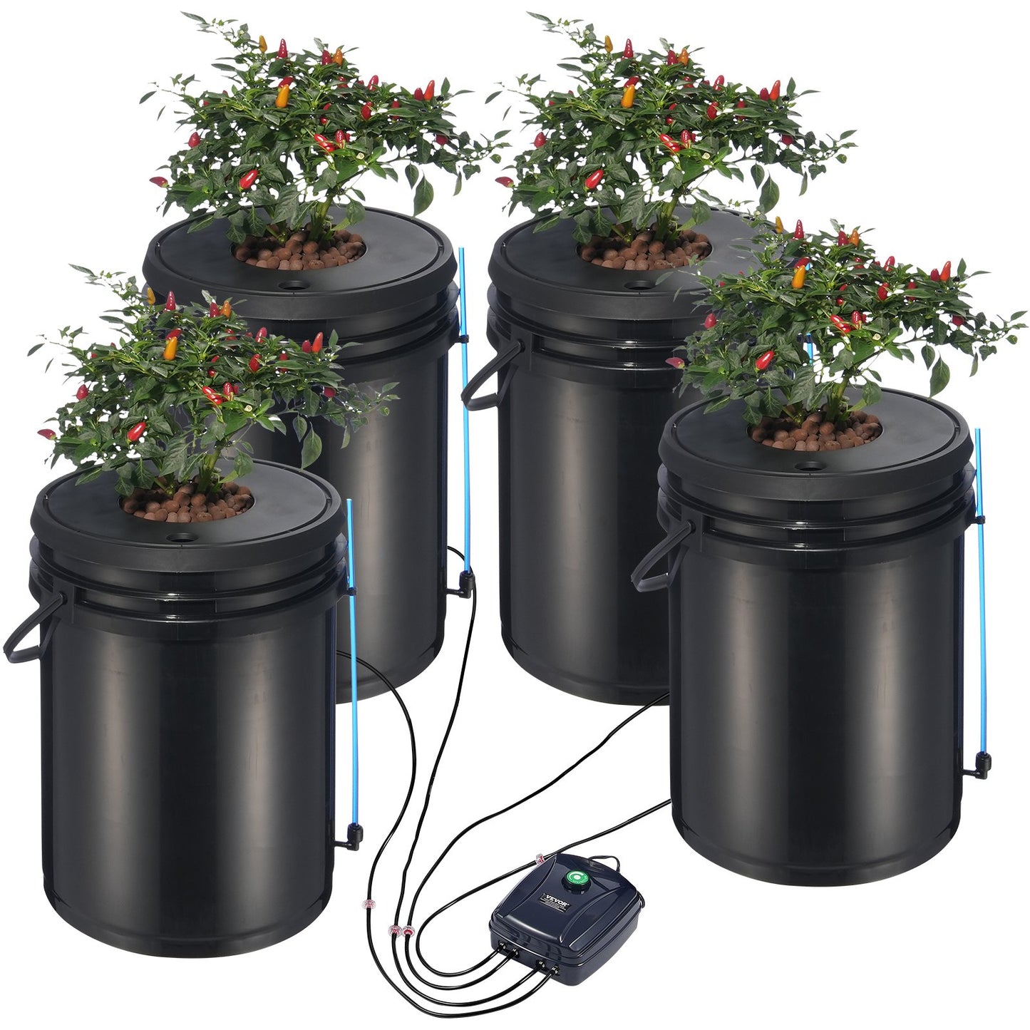 5-Gallon DWC Hydroponic System for Leafy Vegetable