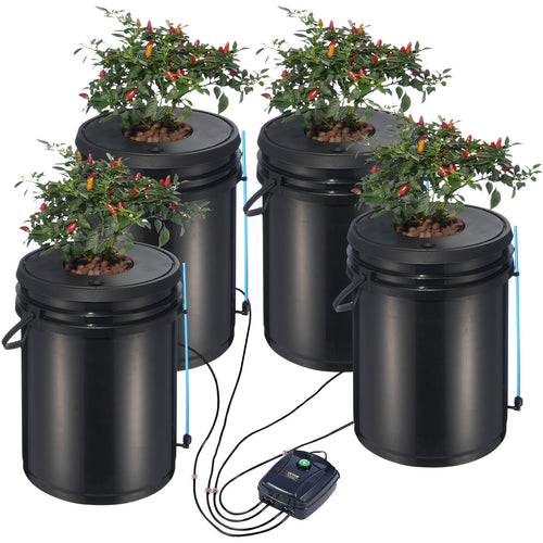 5-Gallon DWC Hydroponic System for Leafy Vegetable