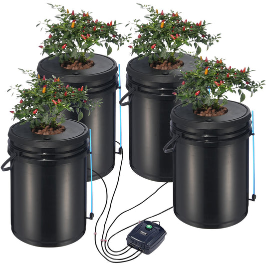 5-Gallon DWC Hydroponic System for Leafy Vegetable