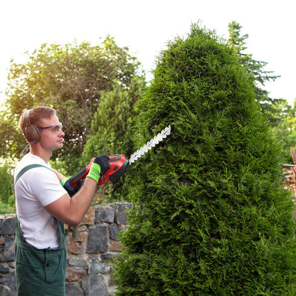 2-in-1 24V Cordless Grass Shear Hedge Trimmer