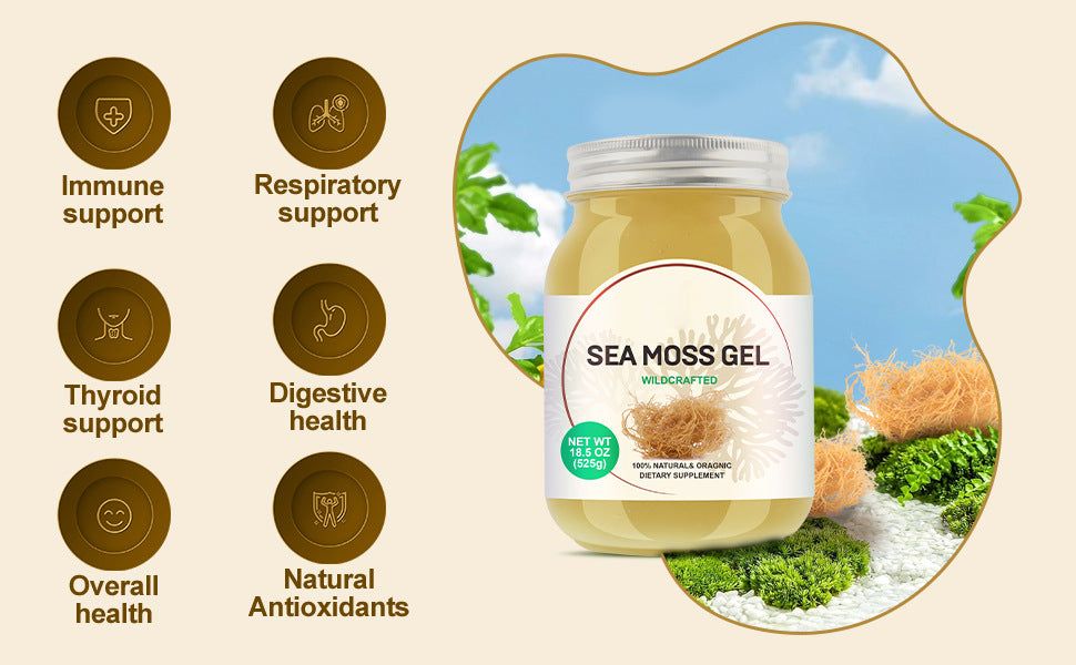 Sea Moss Gel - Vitamin Mineral Supplement Gel