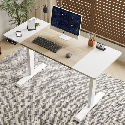Adjustable Electric Standing Desk Modern Computer Desk