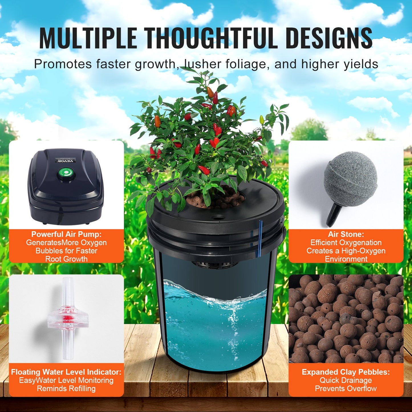 5-Gallon DWC Hydroponic System for Leafy Vegetable