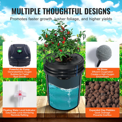 5-Gallon DWC Hydroponic System for Leafy Vegetable
