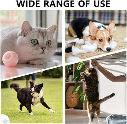 Interactive Rolling Cat Ball