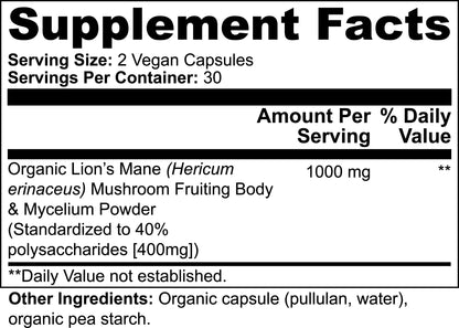 Lion’s Mane Mushroom Supplement for Focus, Mood & Brain Support